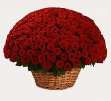 Премиум букет из: Розы в Шолоховском