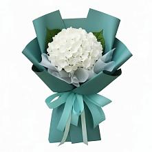 Букет цветов из:  Гортензия #REPLACE_PRED# Шолоховском